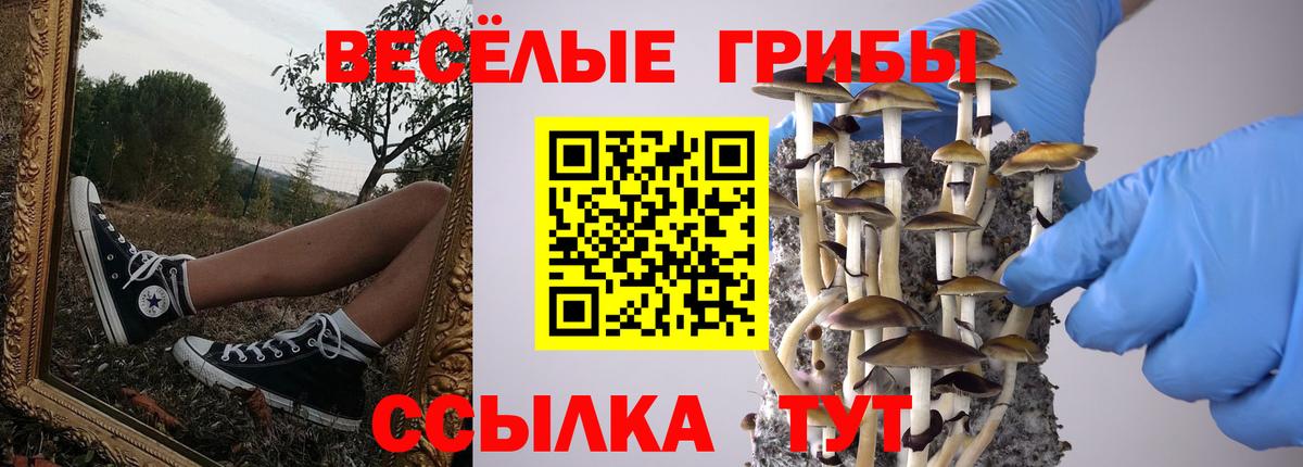 Псилоцибиновые грибы MAGIC MUSHROOMS  Вход с VPN  магазин    Павловский Посад 