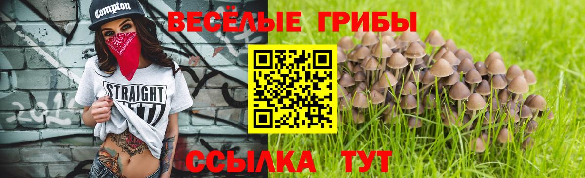 Псилоцибиновые грибы ЛСД Павловский Посад